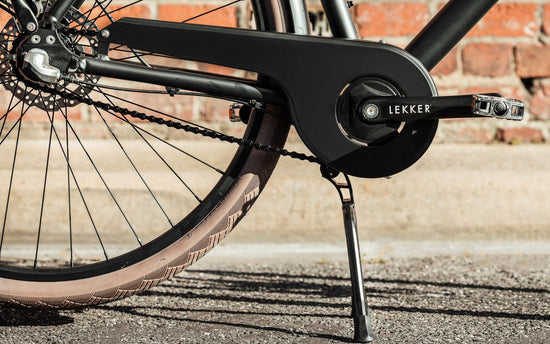 Jordaan step over LEKKER Bike with CST Zeppelin Tyres