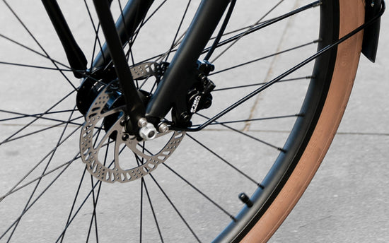 Jordaan step over LEKKER Bike with hydraulic disc brakes